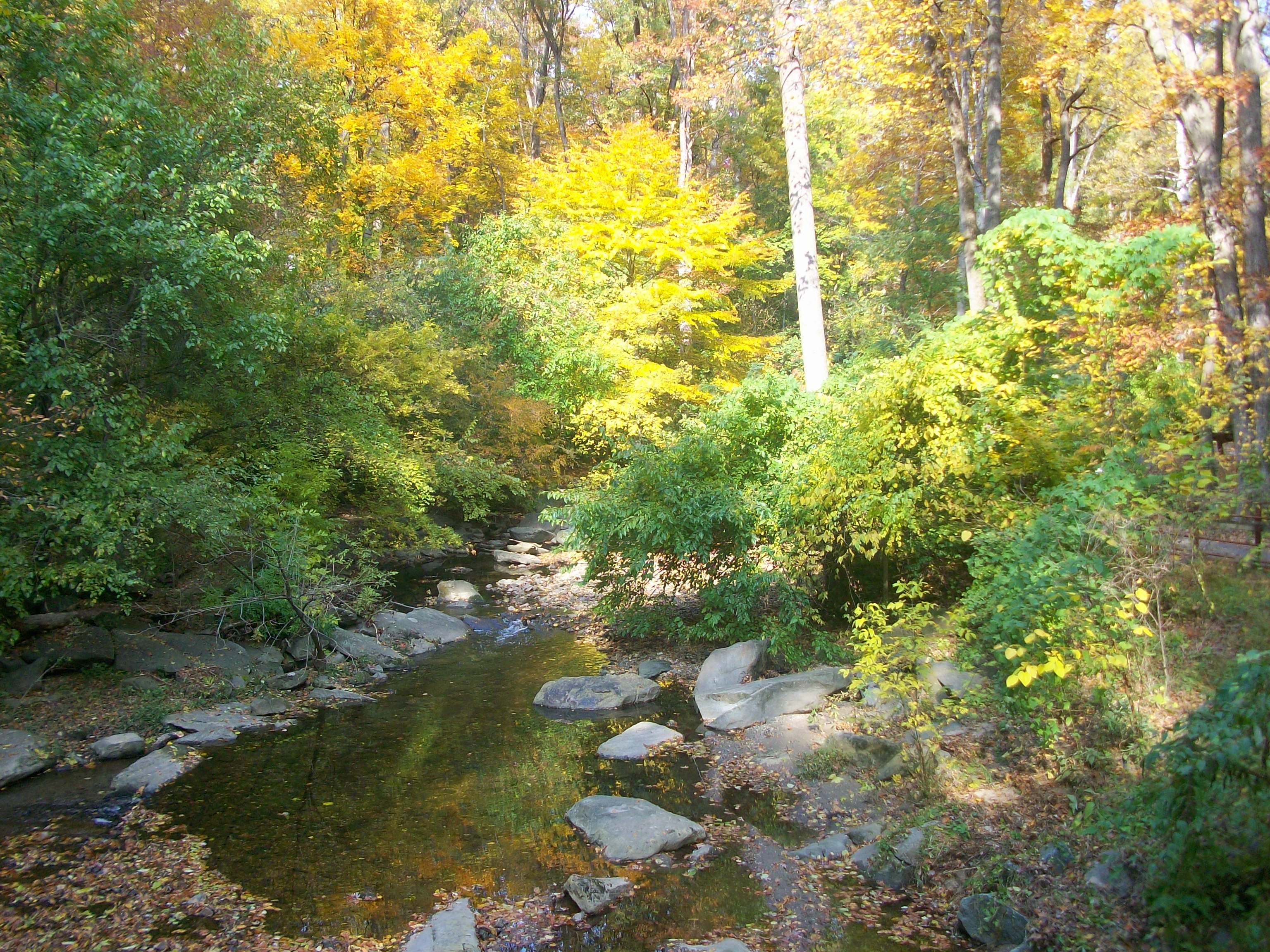 sligo creek park
